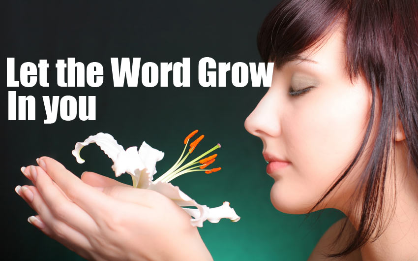 Growing the word